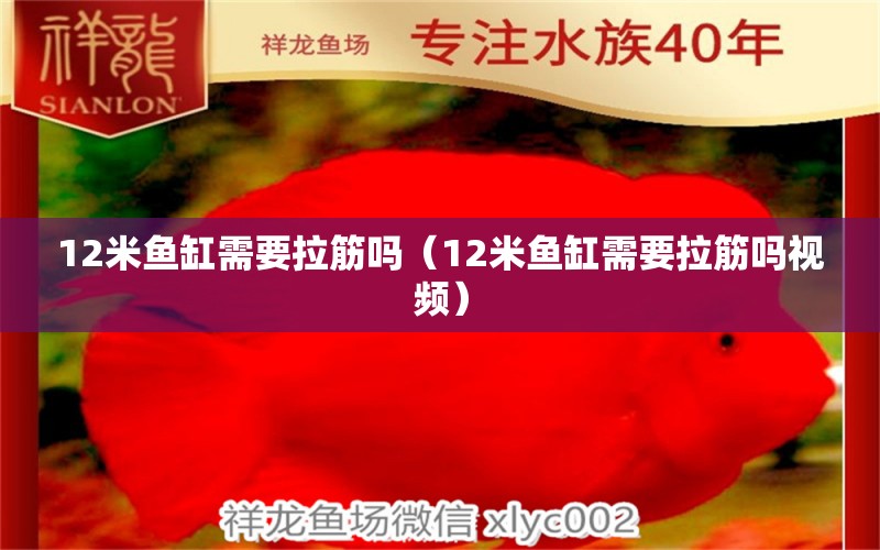 12米魚缸需要拉筋嗎（12米魚缸需要拉筋嗎視頻） 其他品牌魚缸