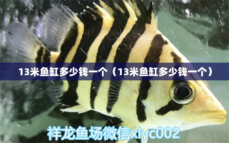 13米魚缸多少錢一個（13米魚缸多少錢一個） 其他品牌魚缸