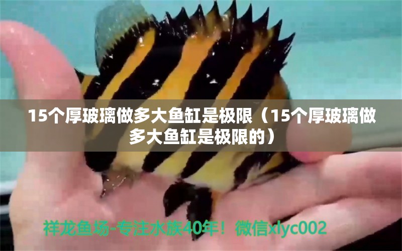 15個厚玻璃做多大魚缸是極限（15個厚玻璃做多大魚缸是極限的）