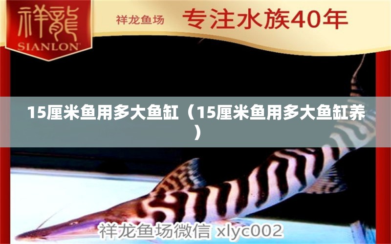 15厘米魚用多大魚缸（15厘米魚用多大魚缸養(yǎng)） 其他品牌魚缸