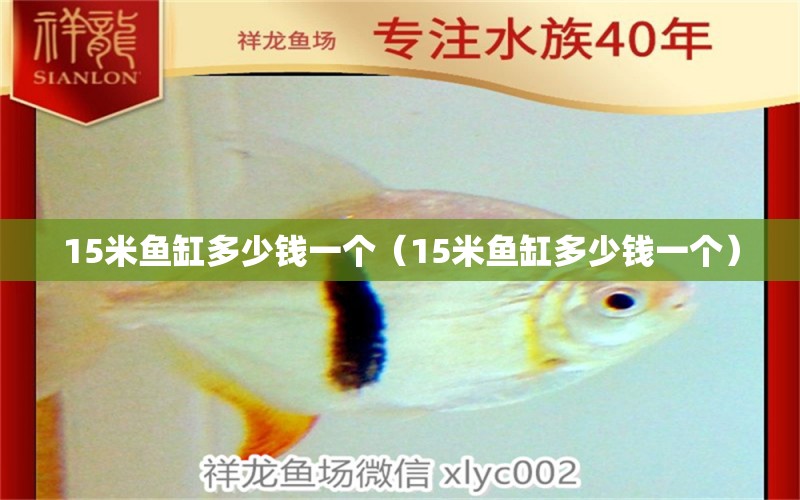 15米魚缸多少錢一個（15米魚缸多少錢一個）