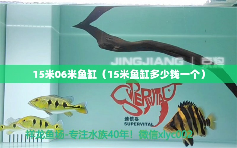 15米06米魚缸（15米魚缸多少錢一個）