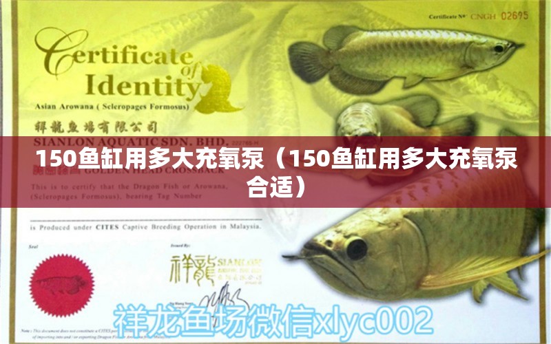 150魚缸用多大充氧泵（150魚缸用多大充氧泵合適） 祥龍魚場(chǎng)