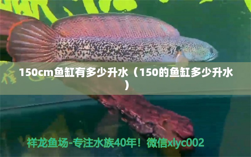 150cm魚缸有多少升水（150的魚缸多少升水）