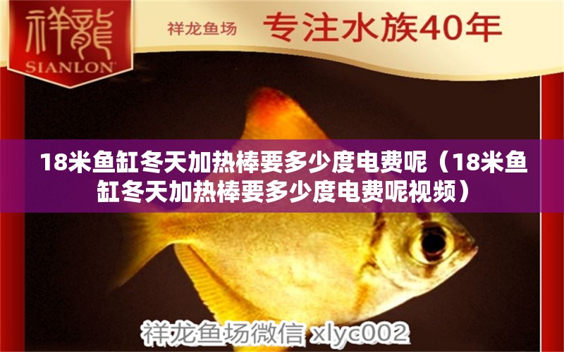 18米魚(yú)缸冬天加熱棒要多少度電費(fèi)呢（18米魚(yú)缸冬天加熱棒要多少度電費(fèi)呢視頻） 其他品牌魚(yú)缸