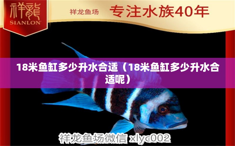 18米魚缸多少升水合適（18米魚缸多少升水合適呢）