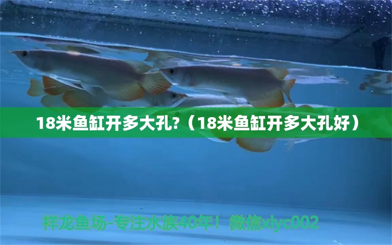 18米魚(yú)缸開(kāi)多大孔?（18米魚(yú)缸開(kāi)多大孔好）