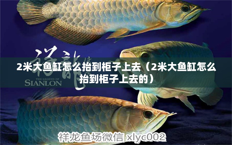 2米大魚缸怎么抬到柜子上去（2米大魚缸怎么抬到柜子上去的）