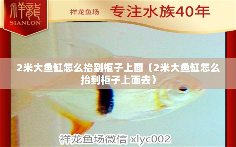 2米大魚缸怎么抬到柜子上面（2米大魚缸怎么抬到柜子上面去）