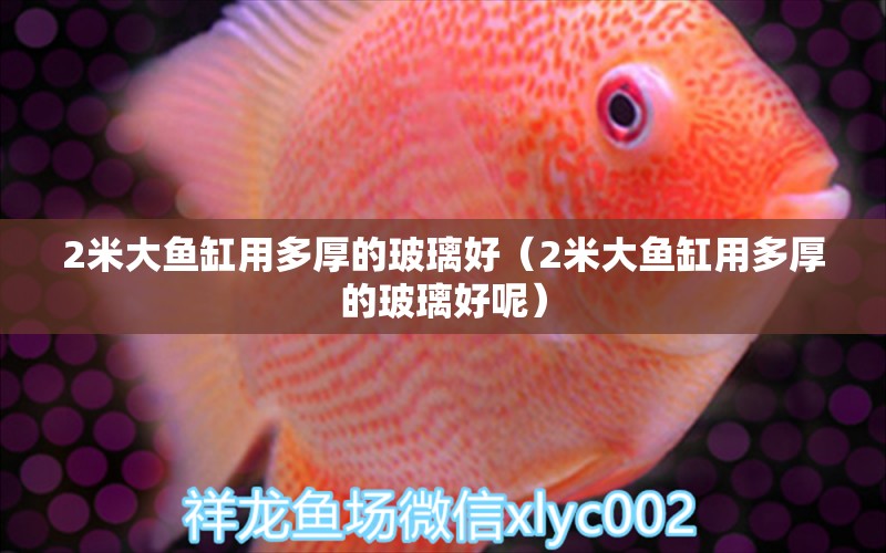 2米大魚缸用多厚的玻璃好（2米大魚缸用多厚的玻璃好呢）