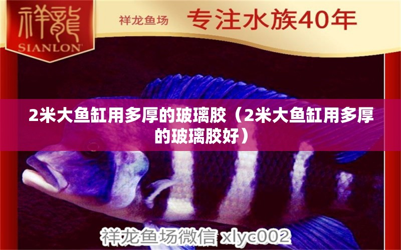 2米大魚缸用多厚的玻璃膠（2米大魚缸用多厚的玻璃膠好）