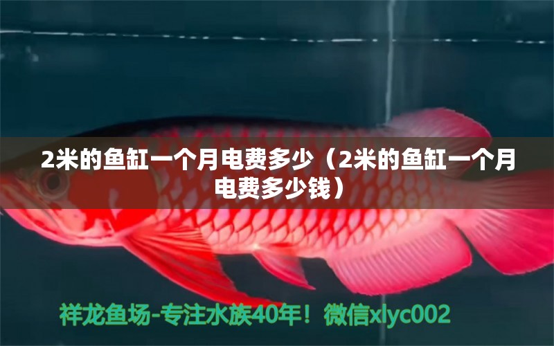 2米的魚缸一個(gè)月電費(fèi)多少（2米的魚缸一個(gè)月電費(fèi)多少錢） 魚缸百科