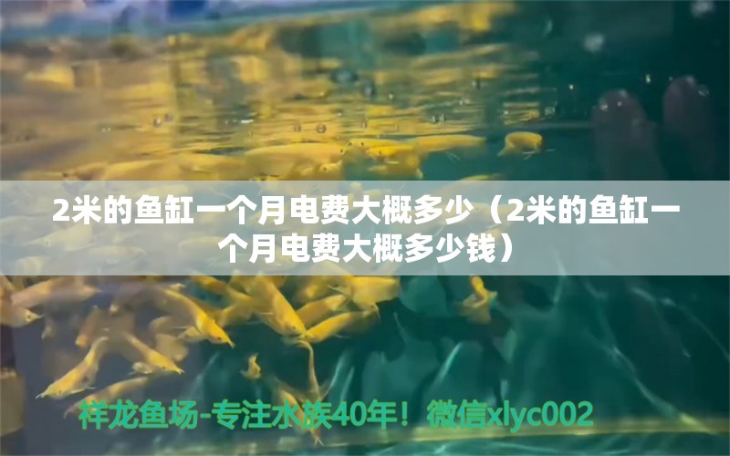 2米的魚缸一個(gè)月電費(fèi)大概多少（2米的魚缸一個(gè)月電費(fèi)大概多少錢） 魚缸百科