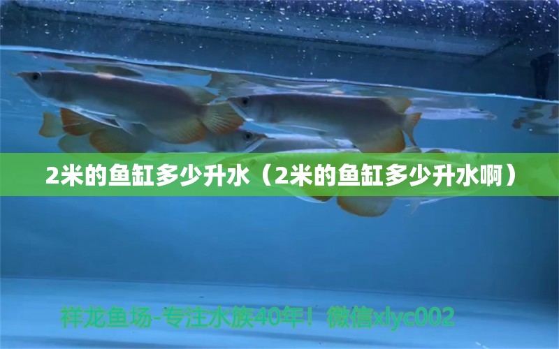 2米的魚(yú)缸多少升水（2米的魚(yú)缸多少升水?。? title=