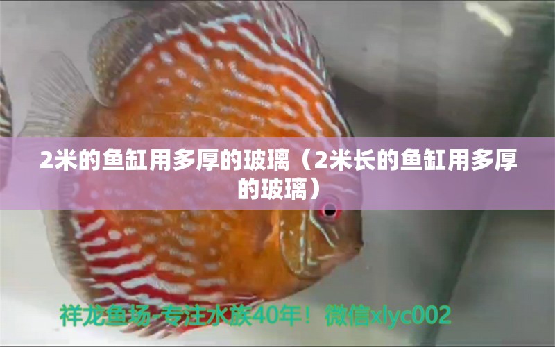 2米的魚(yú)缸用多厚的玻璃（2米長(zhǎng)的魚(yú)缸用多厚的玻璃）