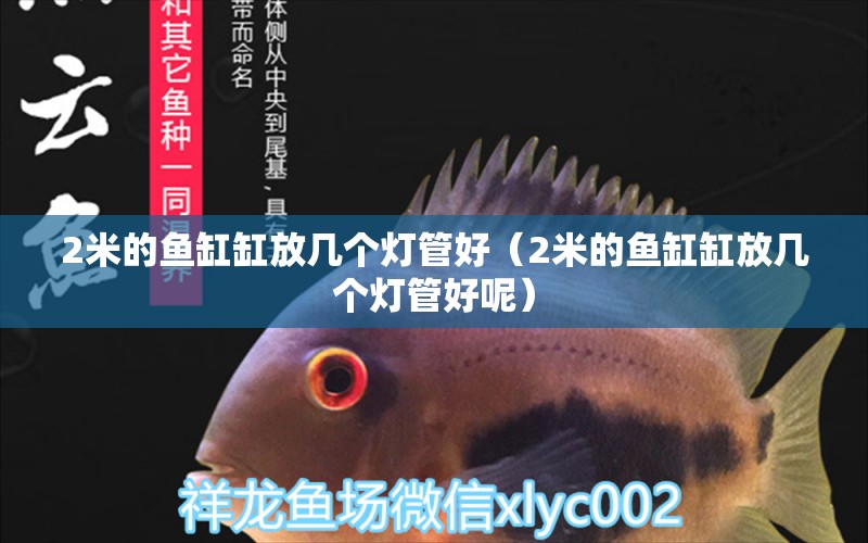 2米的魚(yú)缸缸放幾個(gè)燈管好（2米的魚(yú)缸缸放幾個(gè)燈管好呢）