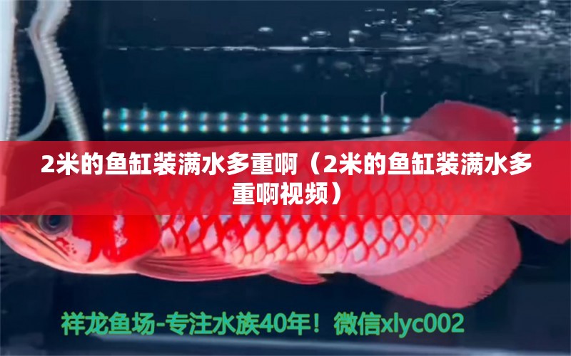 2米的魚缸裝滿水多重?。?米的魚缸裝滿水多重啊視頻）