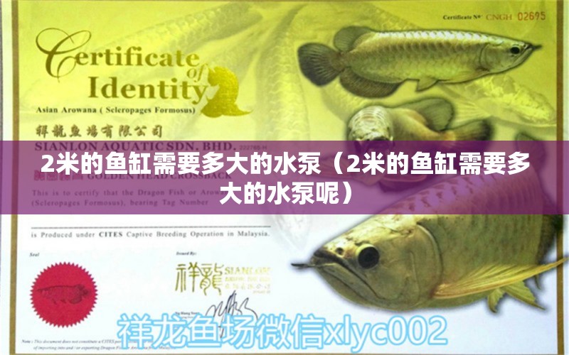 2米的魚缸需要多大的水泵（2米的魚缸需要多大的水泵呢）