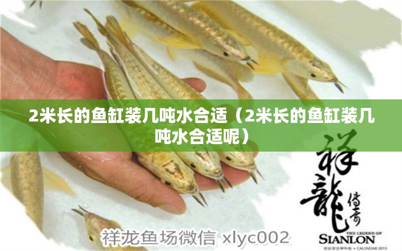 2米長的魚缸裝幾噸水合適（2米長的魚缸裝幾噸水合適呢） 其他品牌魚缸