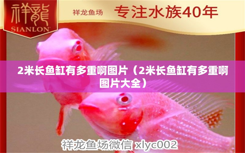 2米長(zhǎng)魚(yú)缸有多重啊圖片（2米長(zhǎng)魚(yú)缸有多重啊圖片大全）