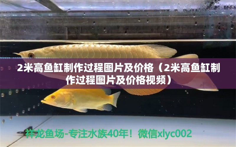 2米高魚缸制作過程圖片及價格（2米高魚缸制作過程圖片及價格視頻）