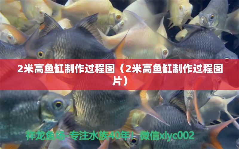 2米高魚缸制作過程圖（2米高魚缸制作過程圖片）