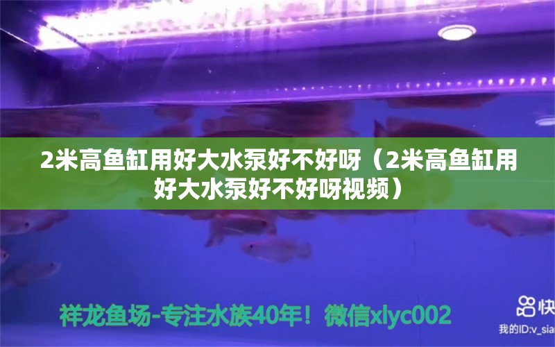 2米高魚(yú)缸用好大水泵好不好呀（2米高魚(yú)缸用好大水泵好不好呀視頻）