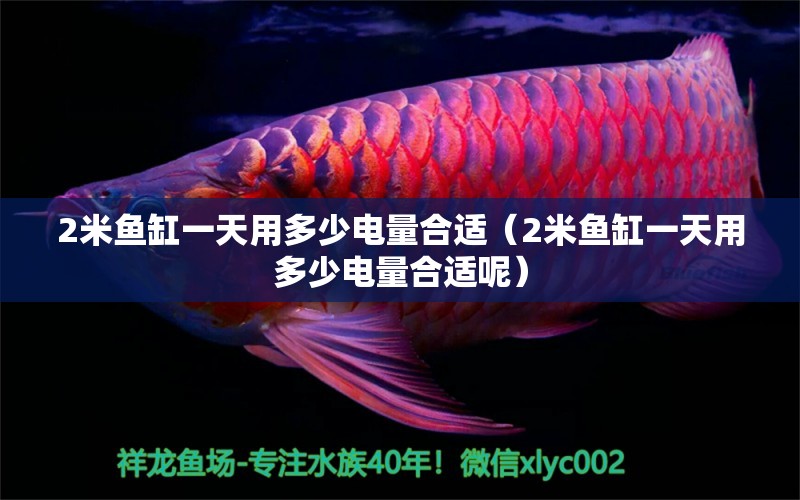 2米魚缸一天用多少電量合適（2米魚缸一天用多少電量合適呢）