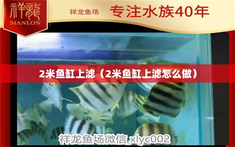 2米魚缸上濾（2米魚缸上濾怎么做）