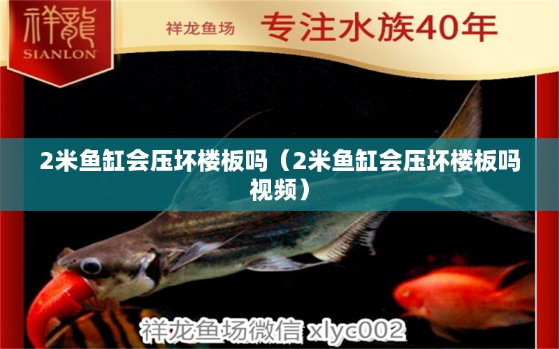 2米魚缸會壓壞樓板嗎（2米魚缸會壓壞樓板嗎視頻）