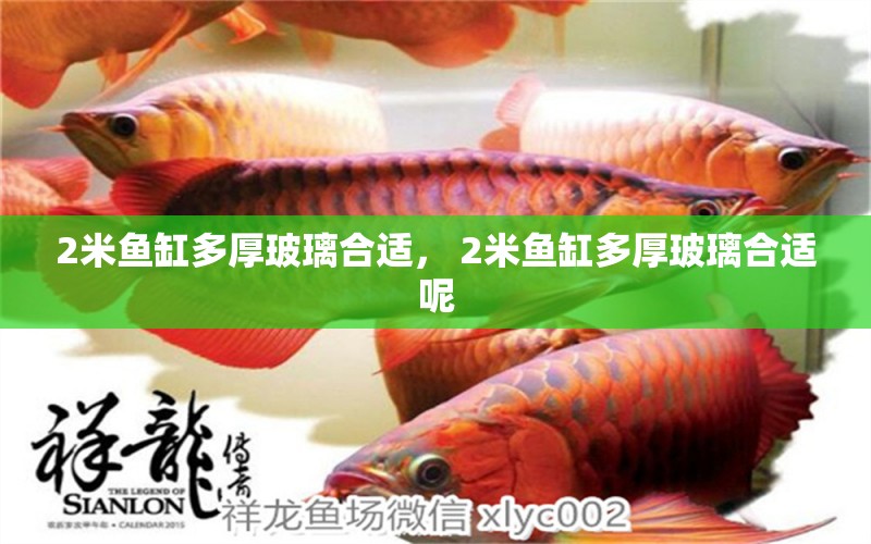 2米魚(yú)缸多厚玻璃合適， 2米魚(yú)缸多厚玻璃合適呢 定時(shí)器/自控系統(tǒng)