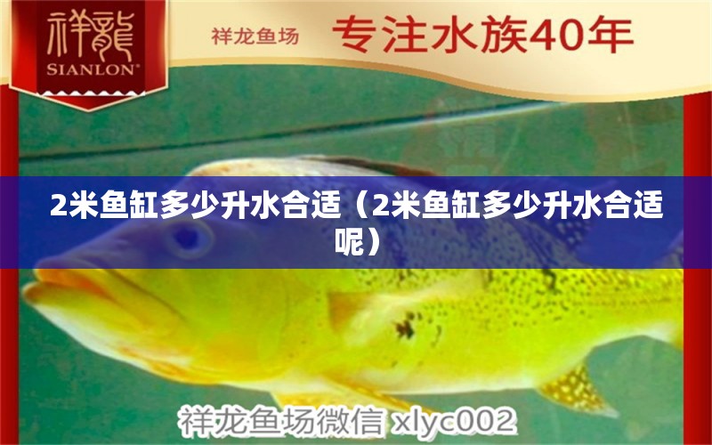 2米魚缸多少升水合適（2米魚缸多少升水合適呢）