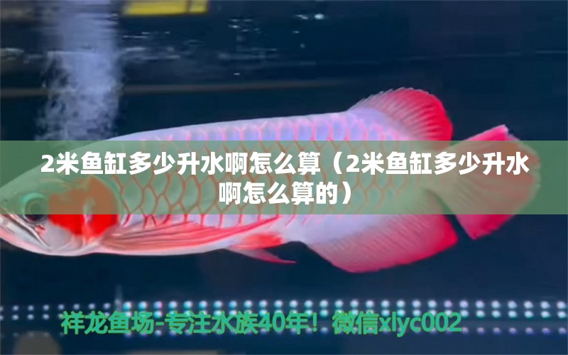 2米魚缸多少升水啊怎么算（2米魚缸多少升水啊怎么算的）