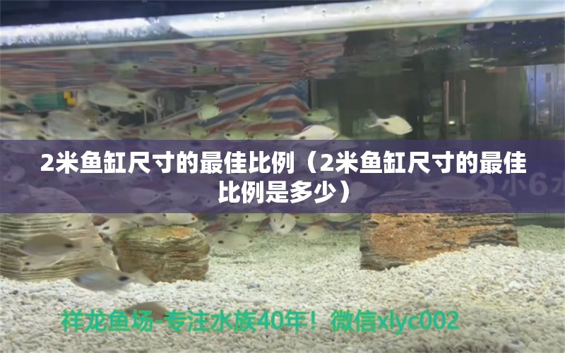 2米魚缸尺寸的最佳比例（2米魚缸尺寸的最佳比例是多少） 其他品牌魚缸