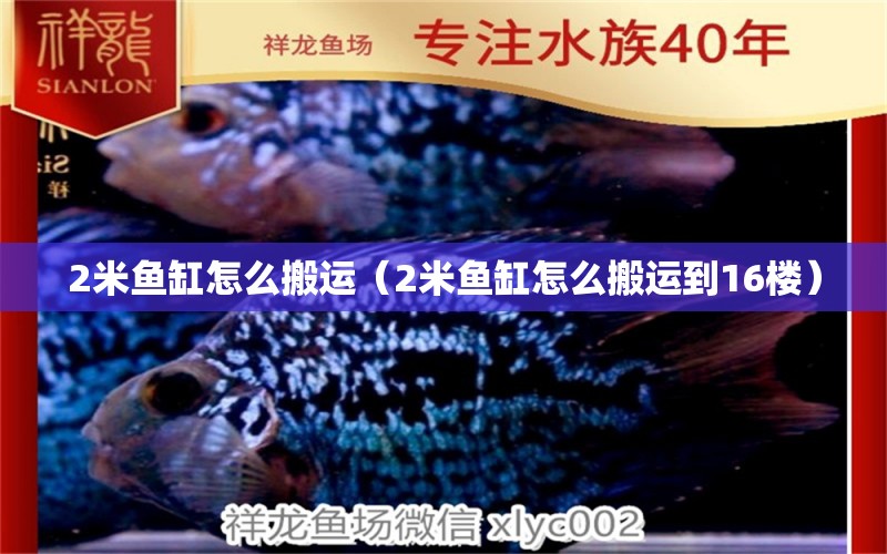 2米魚缸怎么搬運（2米魚缸怎么搬運到16樓） 其他品牌魚缸