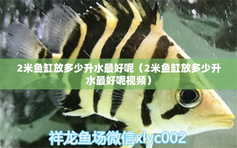 2米魚缸放多少升水最好呢（2米魚缸放多少升水最好呢視頻）