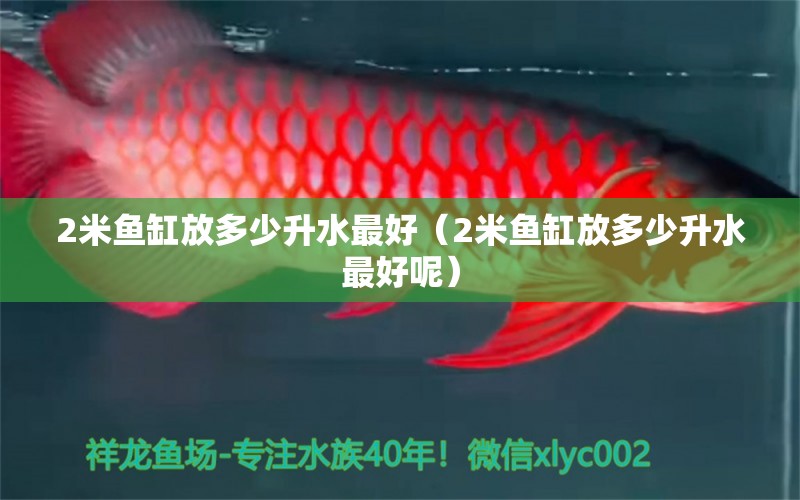 2米魚(yú)缸放多少升水最好（2米魚(yú)缸放多少升水最好呢）