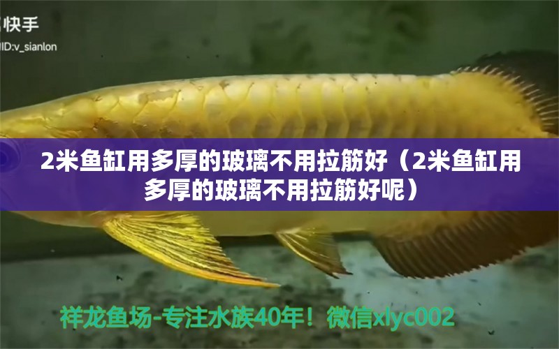 2米魚(yú)缸用多厚的玻璃不用拉筋好（2米魚(yú)缸用多厚的玻璃不用拉筋好呢） 魚(yú)缸百科