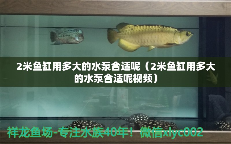 2米魚缸用多大的水泵合適呢（2米魚缸用多大的水泵合適呢視頻）