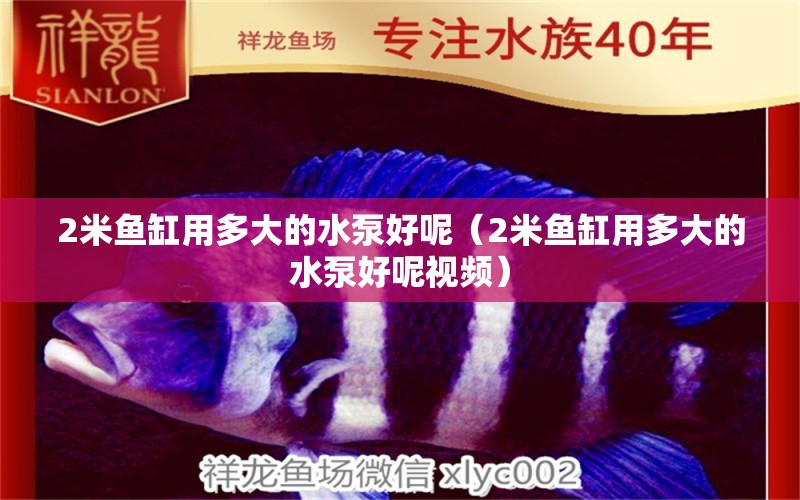 2米魚缸用多大的水泵好呢（2米魚缸用多大的水泵好呢視頻）