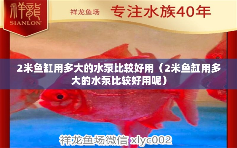 2米魚缸用多大的水泵比較好用（2米魚缸用多大的水泵比較好用呢）