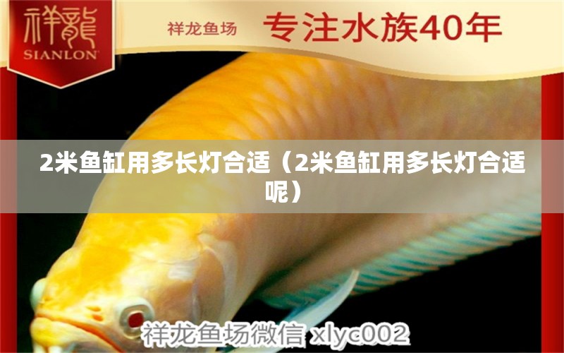 2米魚缸用多長(zhǎng)燈合適（2米魚缸用多長(zhǎng)燈合適呢） 其他品牌魚缸