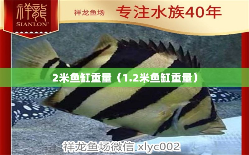 2米魚缸重量（1.2米魚缸重量） 魚缸百科