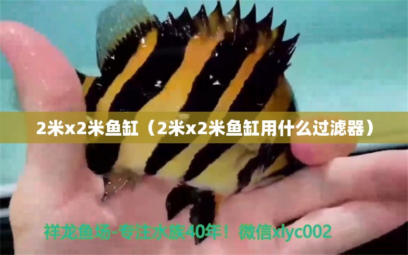 2米x2米魚缸（2米x2米魚缸用什么過濾器）