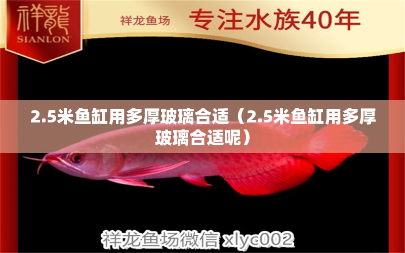 2.5米魚(yú)缸用多厚玻璃合適（2.5米魚(yú)缸用多厚玻璃合適呢） 其他品牌魚(yú)缸