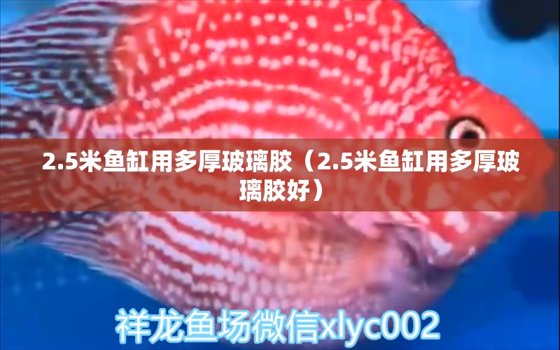 2.5米魚缸用多厚玻璃膠（2.5米魚缸用多厚玻璃膠好） 其他品牌魚缸