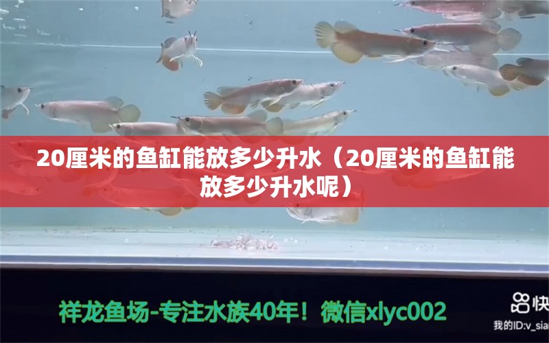 20厘米的魚缸能放多少升水（20厘米的魚缸能放多少升水呢） 其他品牌魚缸