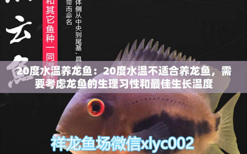 20度水溫養(yǎng)龍魚(yú)：20度水溫不適合養(yǎng)龍魚(yú)，需要考慮龍魚(yú)的生理習(xí)性和最佳生長(zhǎng)溫度 龍魚(yú)百科 第1張