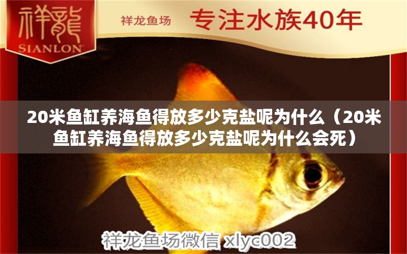 20米魚缸養(yǎng)海魚得放多少克鹽呢為什么（20米魚缸養(yǎng)海魚得放多少克鹽呢為什么會(huì)死）