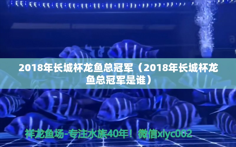 2018年長(zhǎng)城杯龍魚總冠軍（2018年長(zhǎng)城杯龍魚總冠軍是誰(shuí)） 觀賞魚企業(yè)目錄